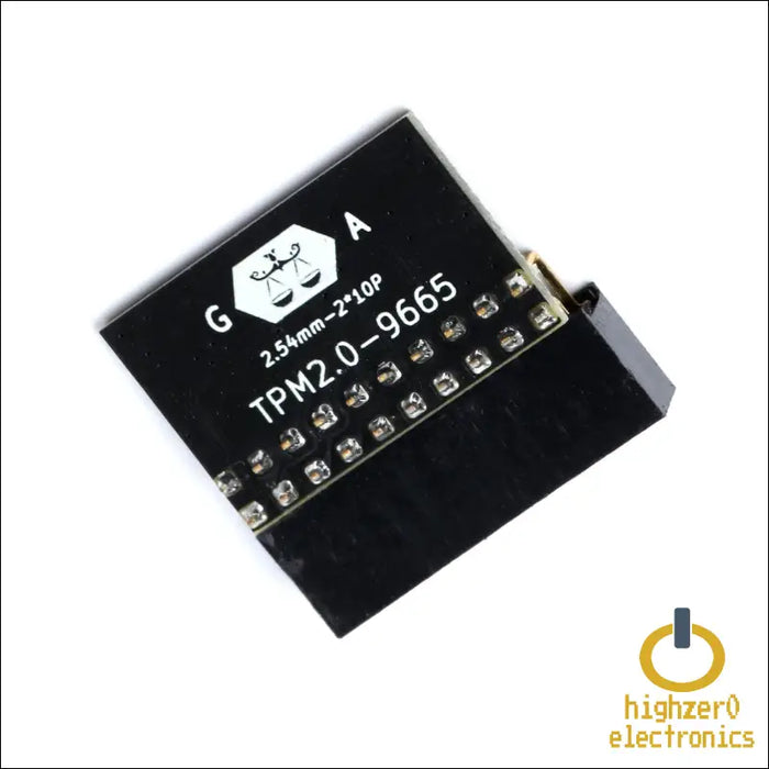 Replacement Tpm2.0 Encryption Security Module 20-1 Pin 2 * 10p Tpm Ga Remote Card Compatible with Win11 2.0 System for Gigabyte Platform